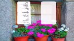 دانلود ریمیکس تو که قاصد عشقی